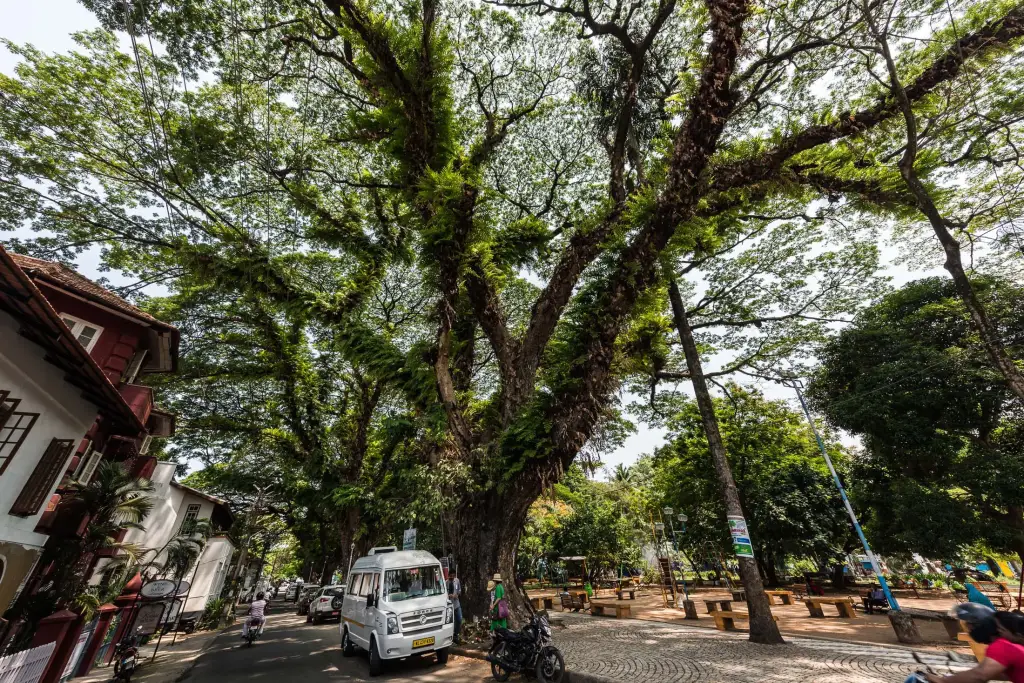 Cochin