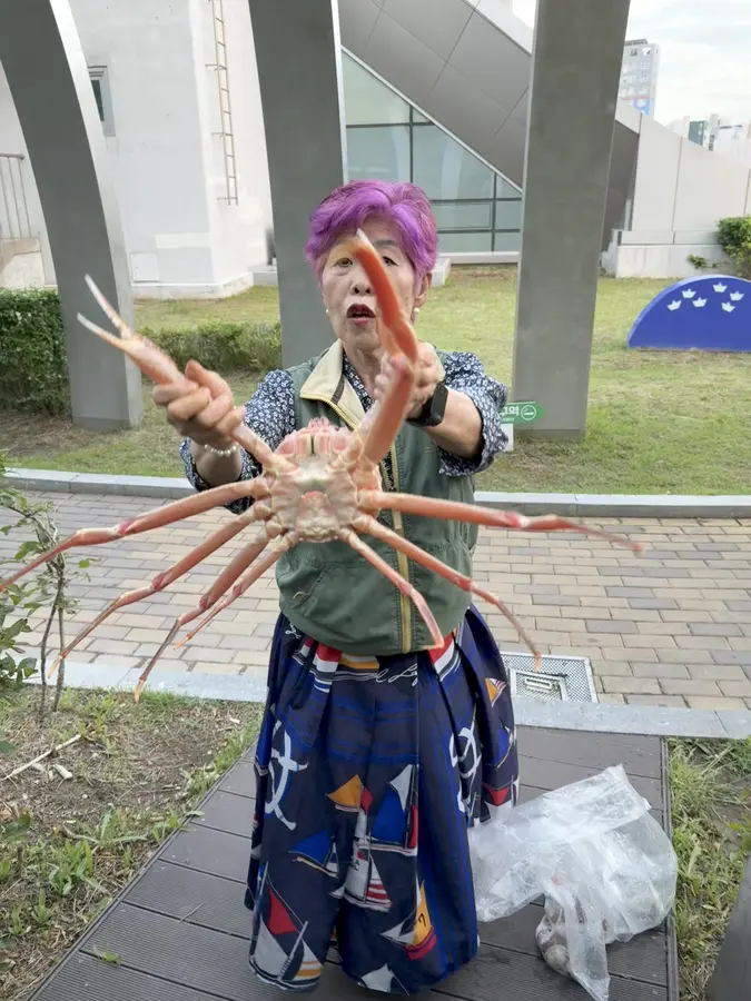 Spider Crab