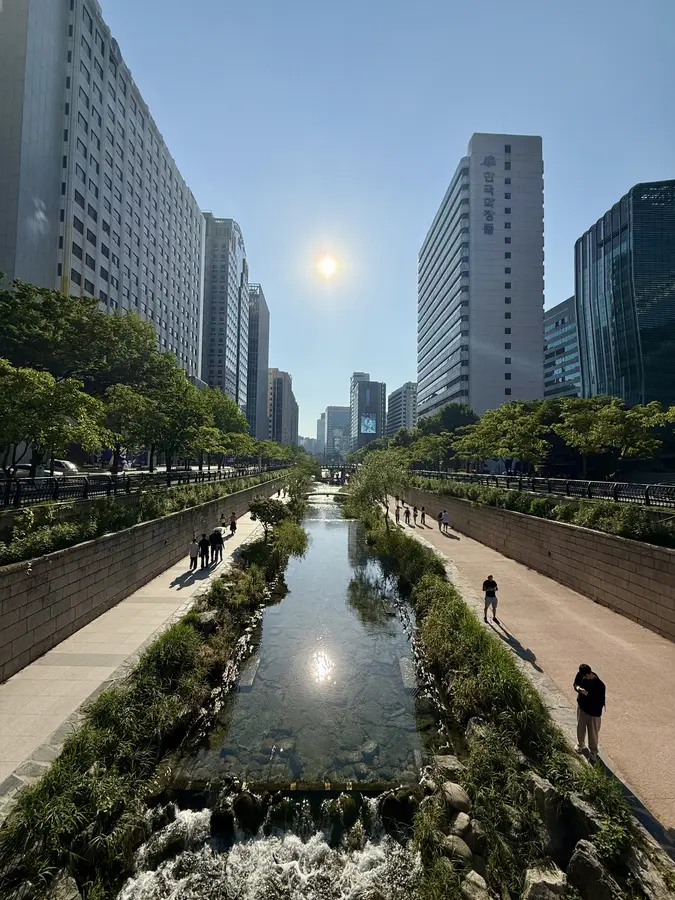 Cheonggyecheon, beliebter Naturspot mitten in Seoul