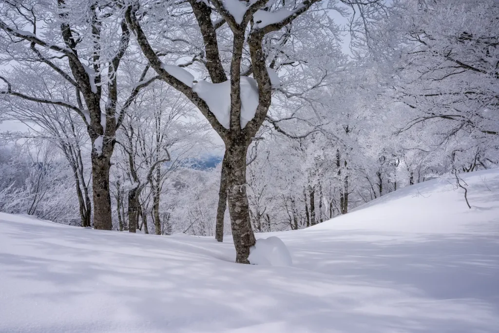 Winterliche Schneelandschaft von Nozawa Onsen