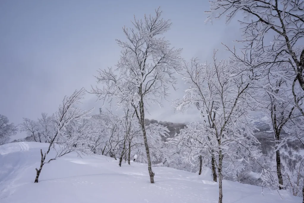 Verschneite Landschaft in Nozawa Onsen