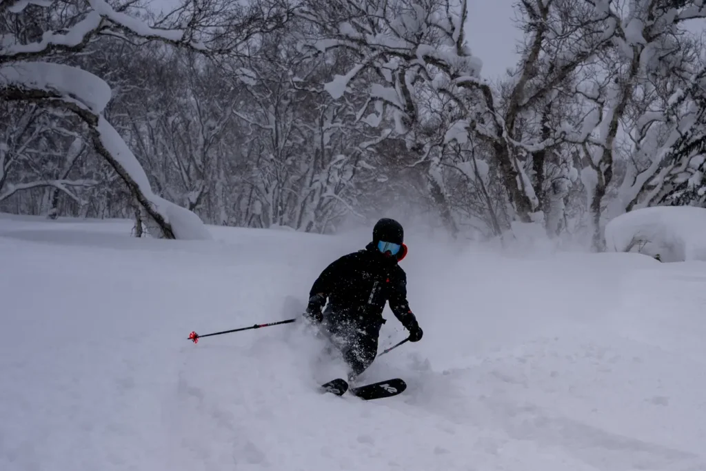 Powderabfahrt im Wald