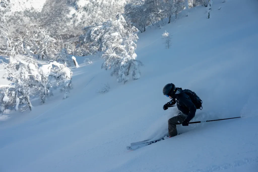 Powderdream in Kiroro