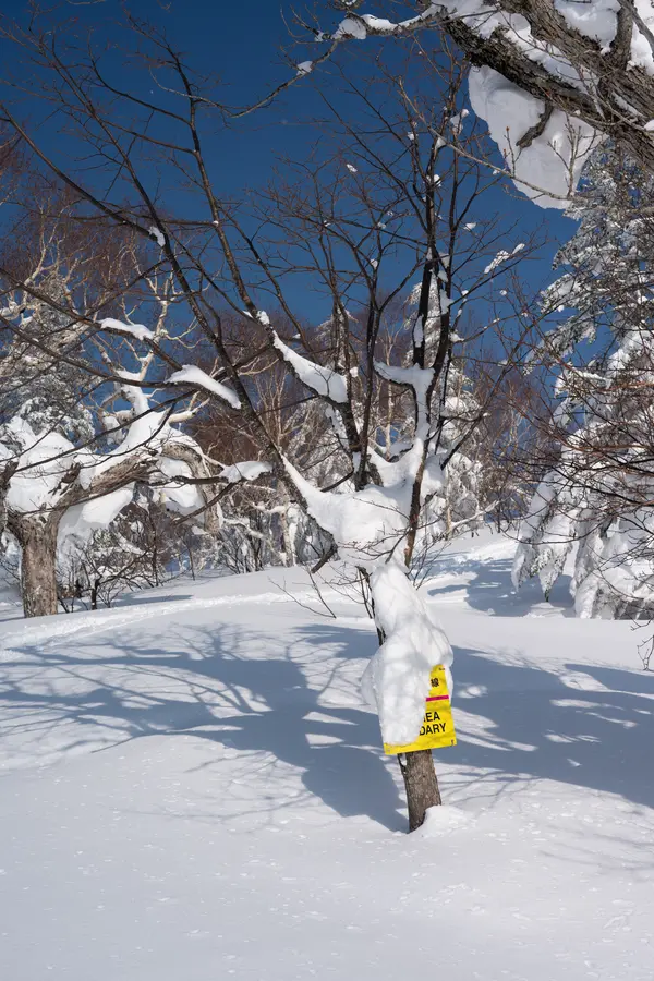 Powderdream in Kiroro