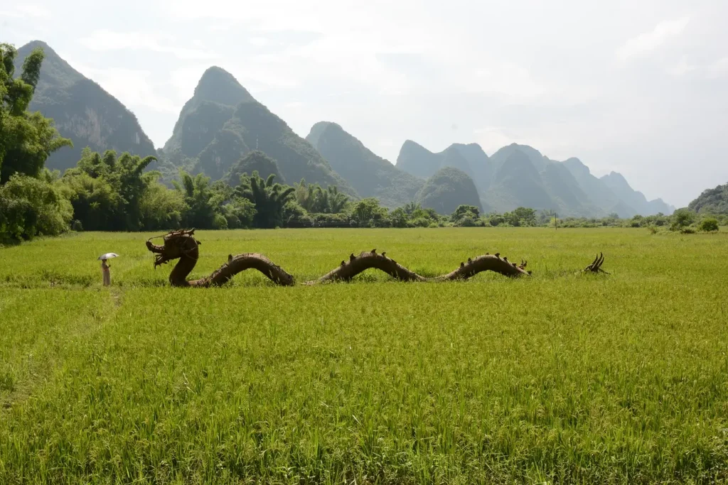 Unterwegs in Yangshuo mit dem Elektroroller treffen wir auf einen Strohdrachen inmitten eines Reisfeldes.
