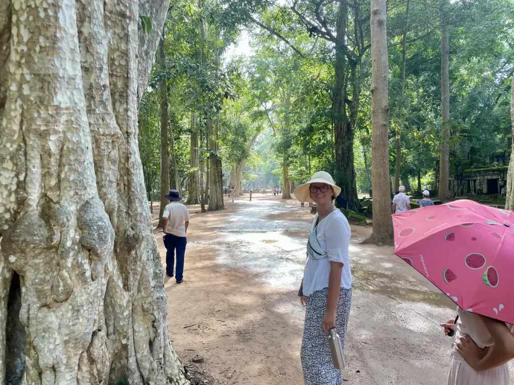 Ta Prohm besteht aus einem Tempel, einem Kloster, sowie mehreren kleineren Gebäuden, welche von einer Mauer mit Ecktürmen und Eingangstoren umgeben sind.