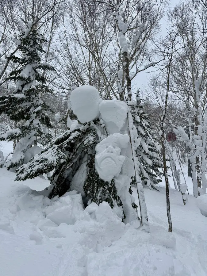 Zurück im verschneiten Rusutsu