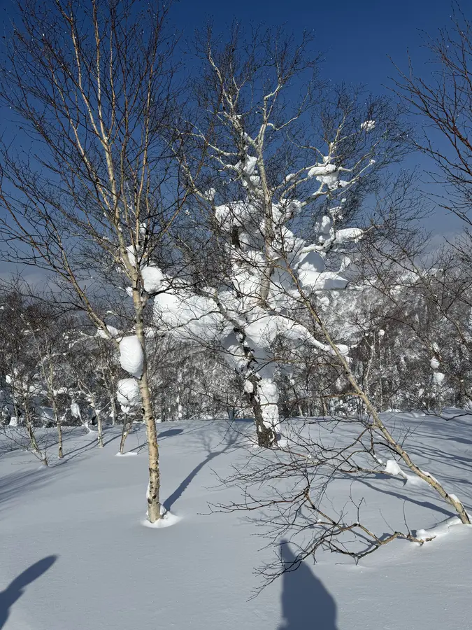 Powderdream in Kiroro