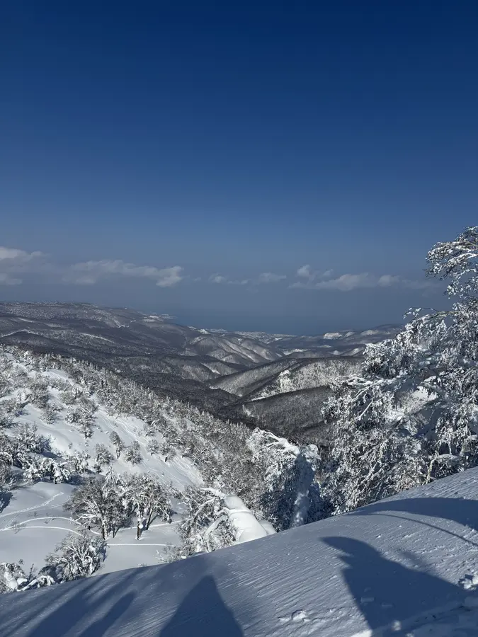 Powderdream in Kiroro