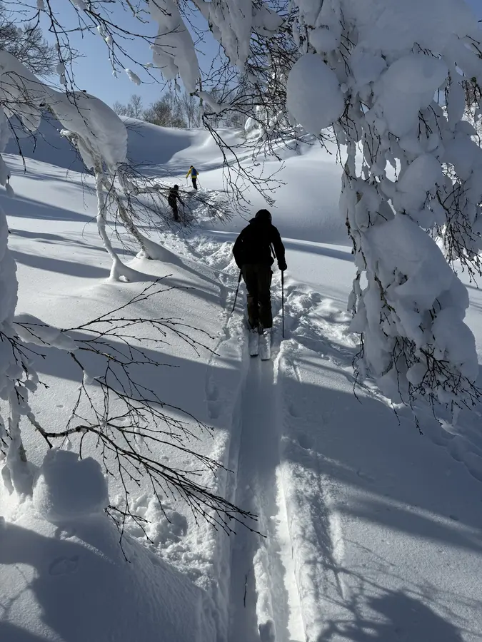 Powderdream in Kiroro