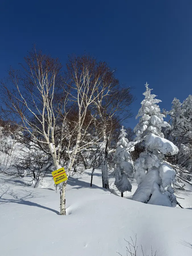 Powderdream in Kiroro