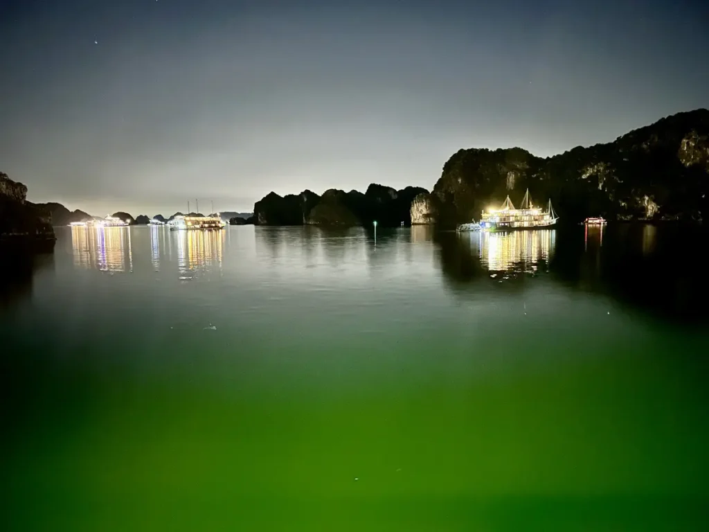 In der Nacht ankert das Schiff in einer Bucht, wo auch viele andere Schiffe ankern.