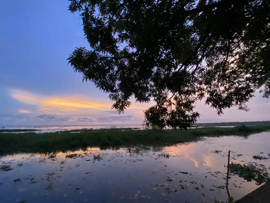 Coconut Lagoon in den Backwaters