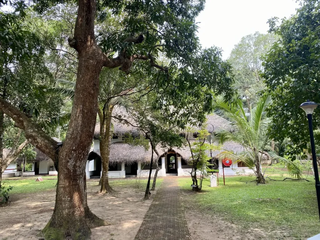 Nelpura Homestay