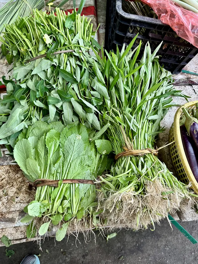 Verschiedene Kräuter und Salate.