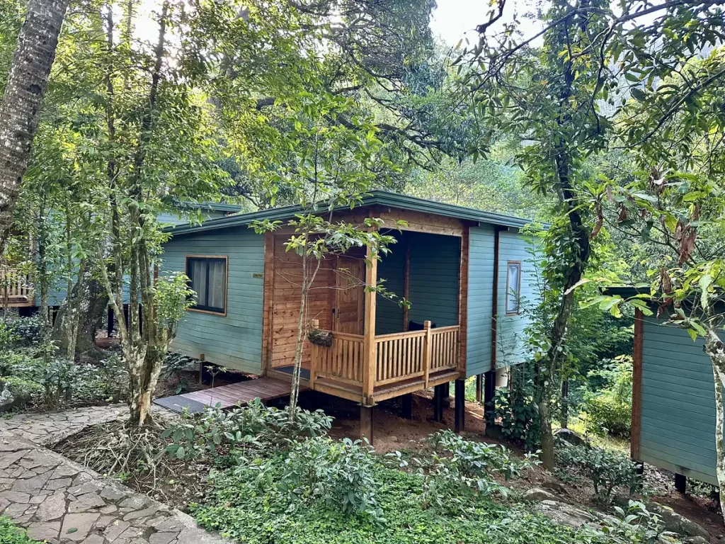 die Bungalows mitten im Grünen
