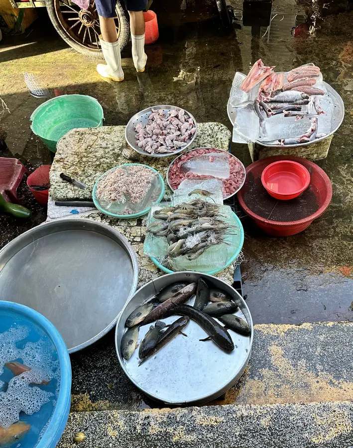 Hier gab es Tiere aller Art und Fische in allen Variationen. Auch Ratten, Schlangen, Frösche, Schildkröten.....