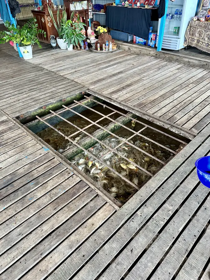 Fischfarm unter dem schwimmenden Haus - Einkommen für die Bewohner hier.