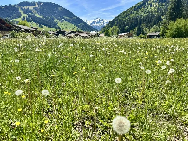 Spaziergang von Gstaad nach Saanen
