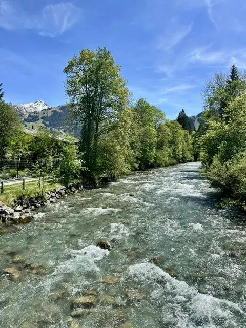 ... an der wunderschönen Saane entlang