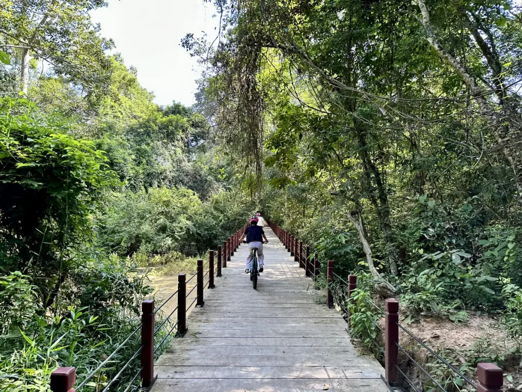 Durch interessante Wälder und Dschungel sind wir gefahren und haben jede Menge Tiere gesehen.