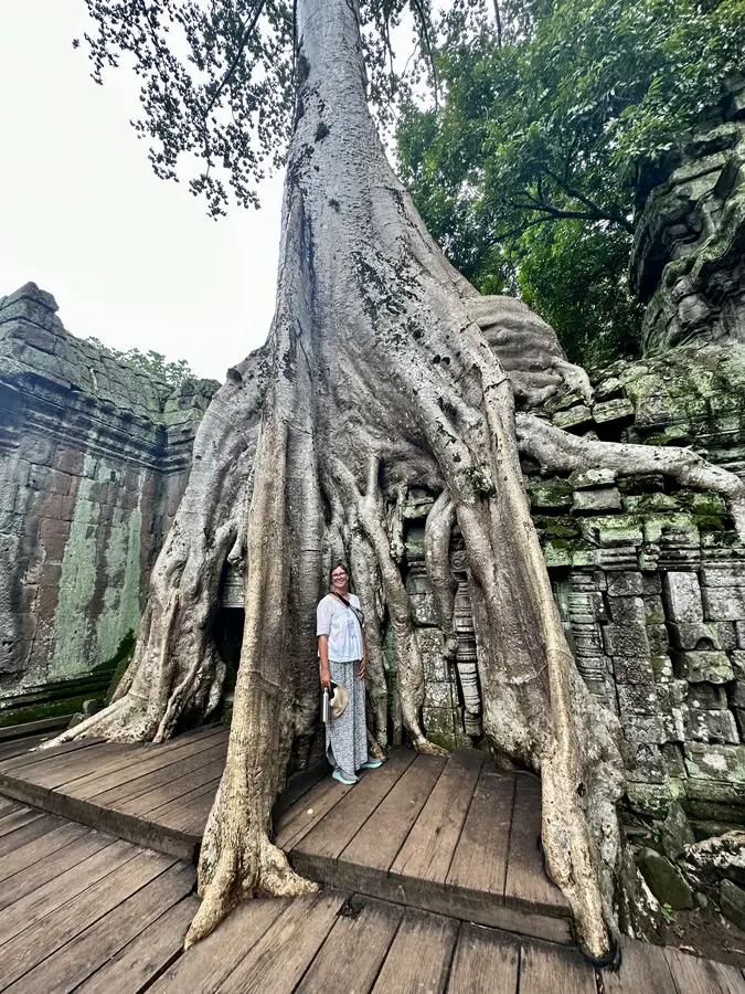 Man entschied sich bei dem Tempel gegen eine Restauration, sicherte Vegetation und herabgefallene Mauersteine und ermöglichte so eine Begehung für Besucher.