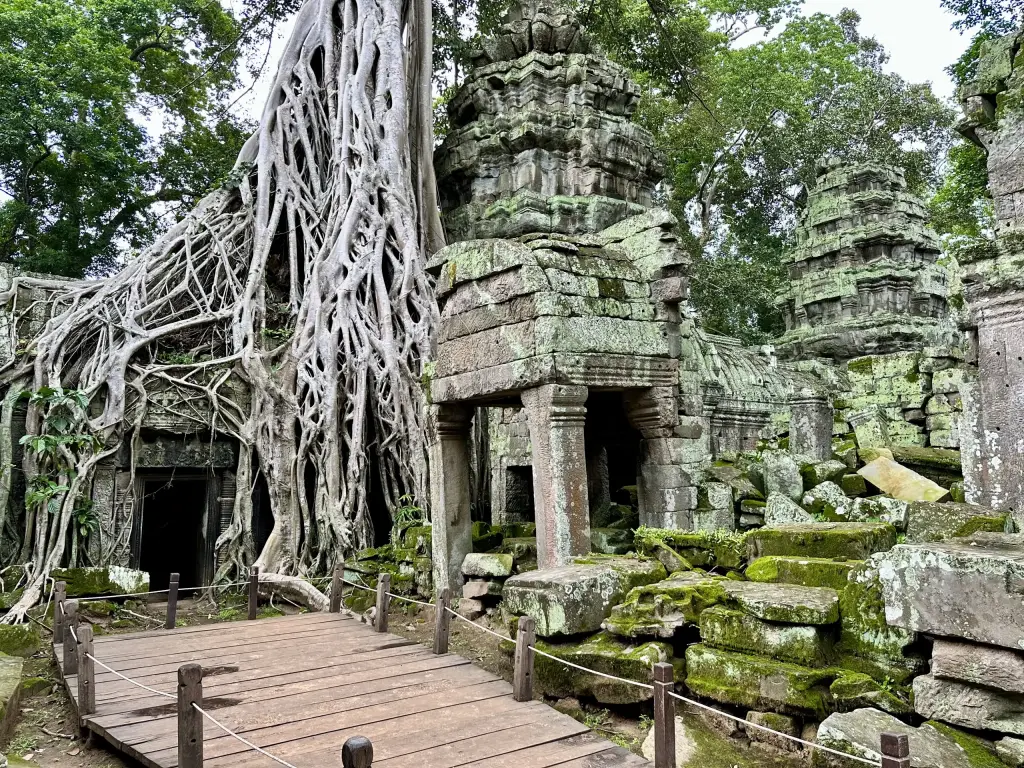 Ta Prohm - der Tempel mit den ikonischen, verwachsenen Wurzeln
