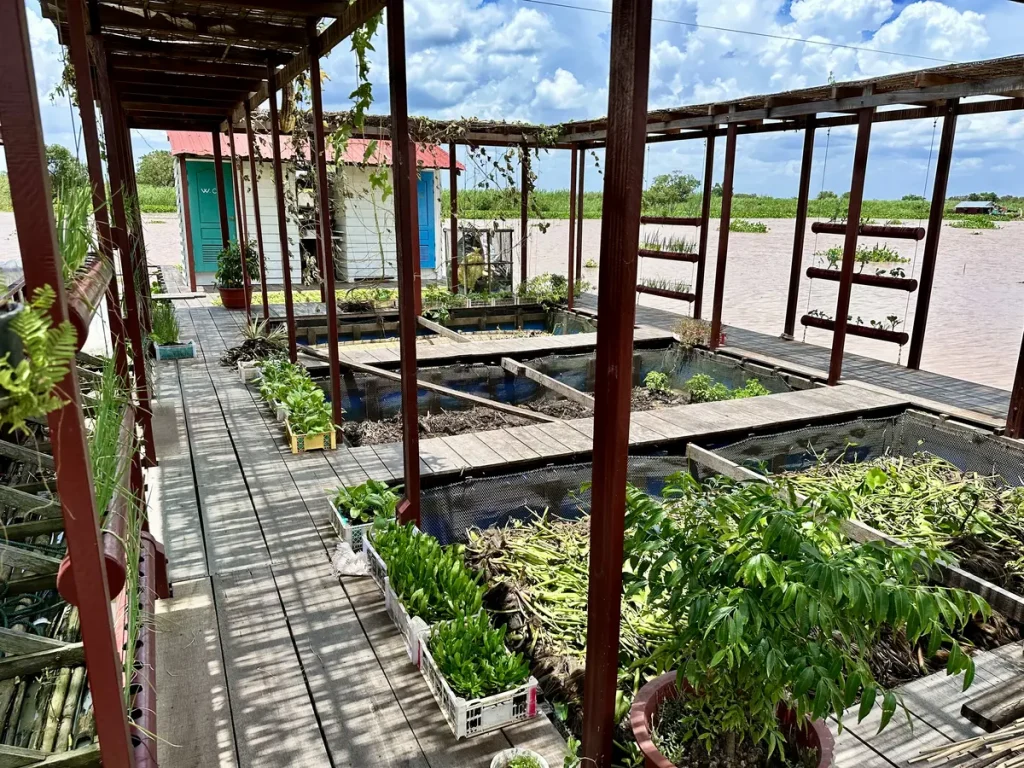 Hinterm Haus wird ein Garten angelegt.