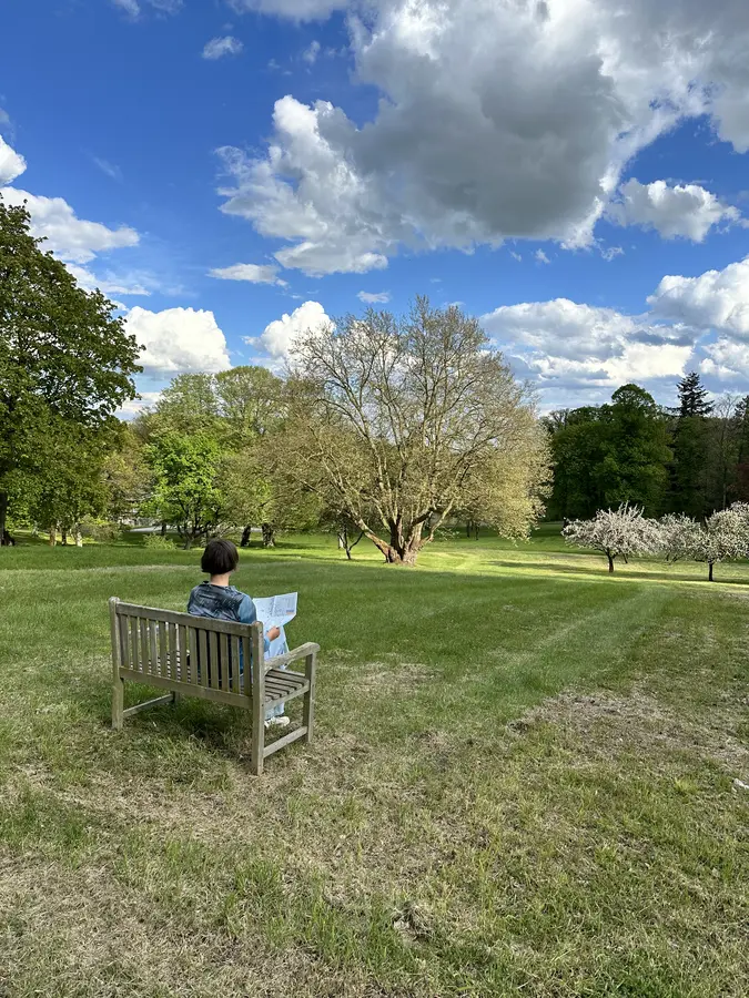 Blick in den Park von einer der unzähligen Bänke auf dem Areal.