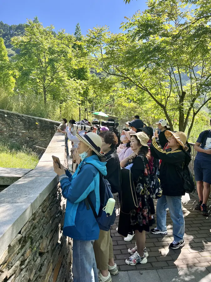 Lokale Touristen