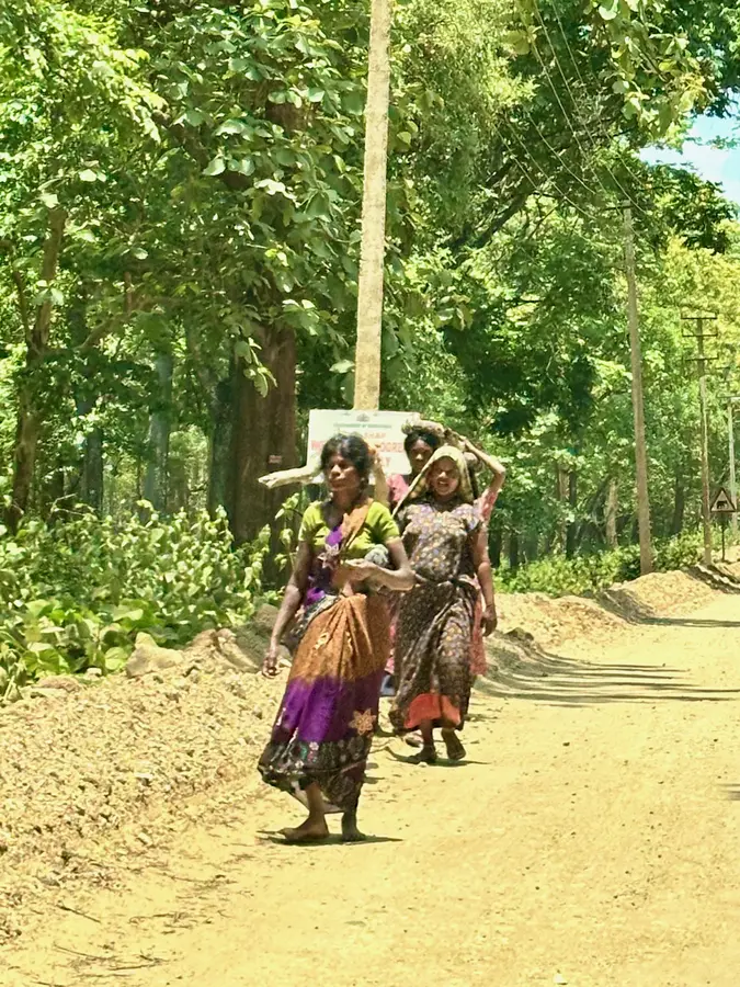 die Tribals wohnen mitten im Dschungel im Naturschutzgebiet