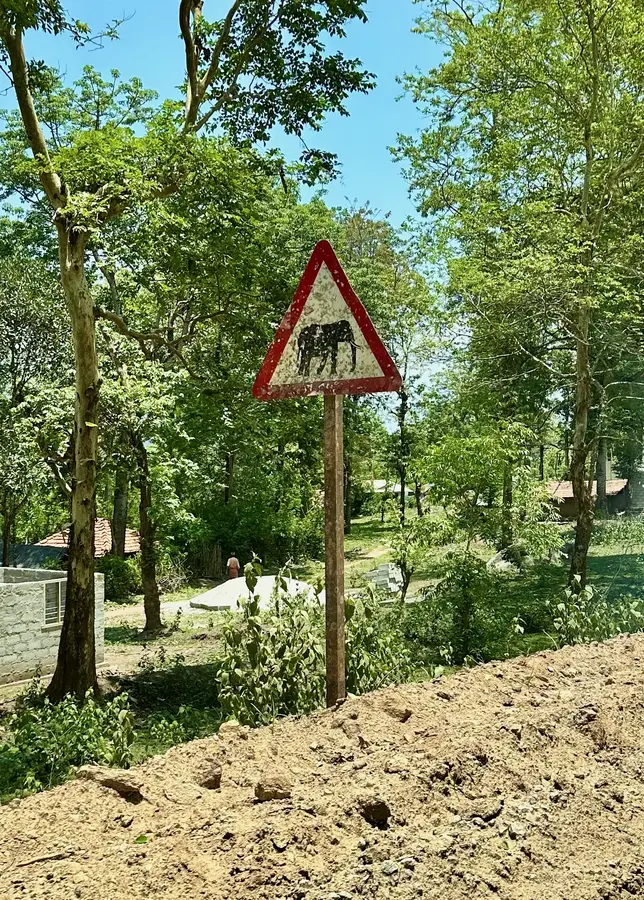 Achtung, Elefanten überall!
