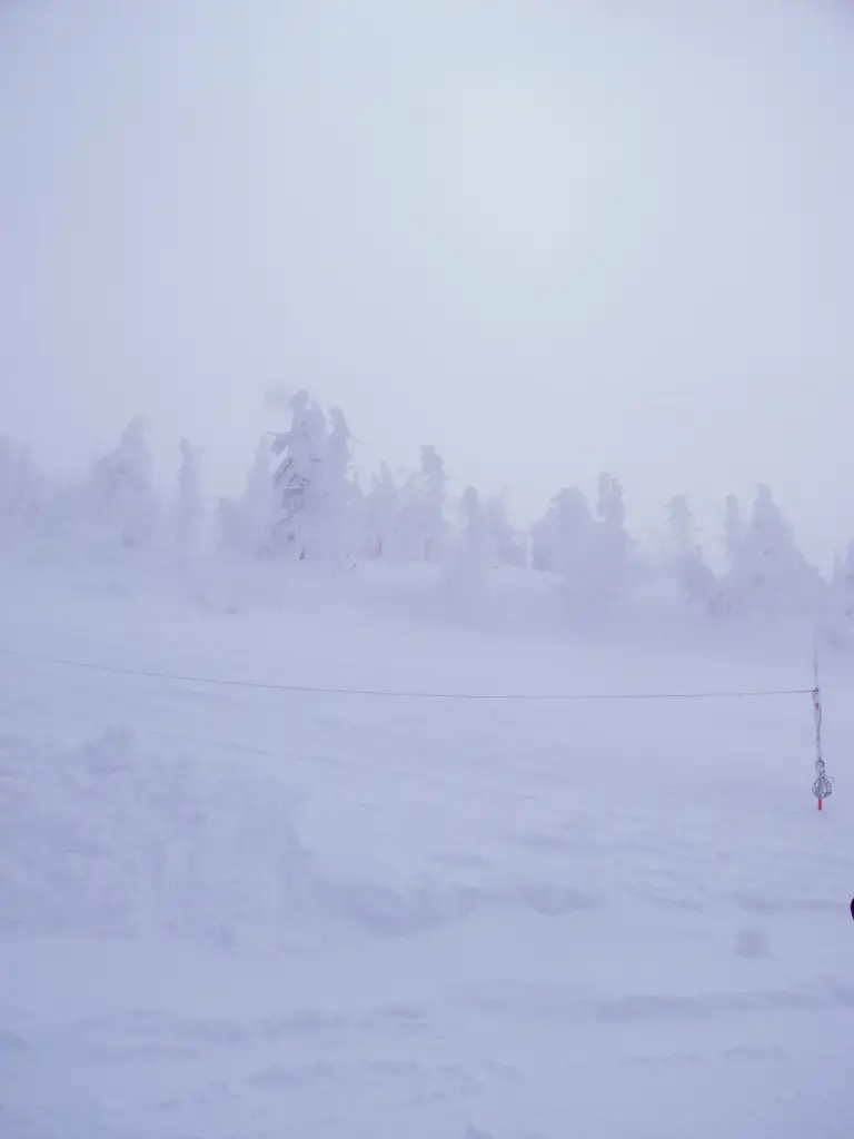 Snow Monster