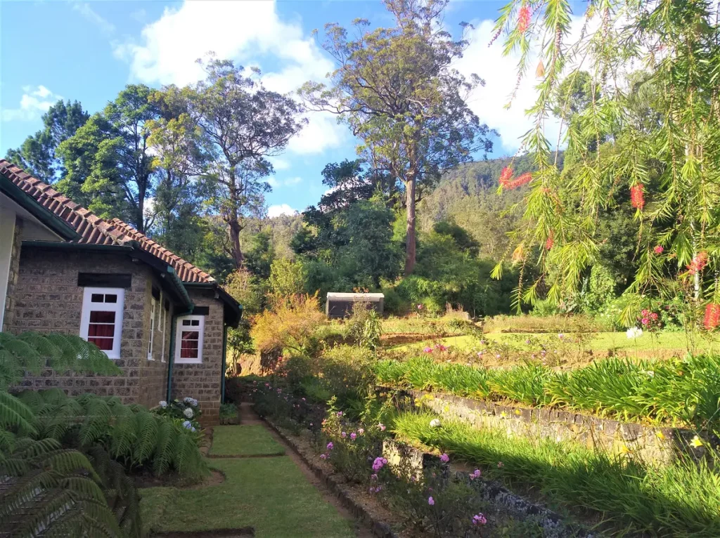 Scottish Planter Glendoven Bungalow