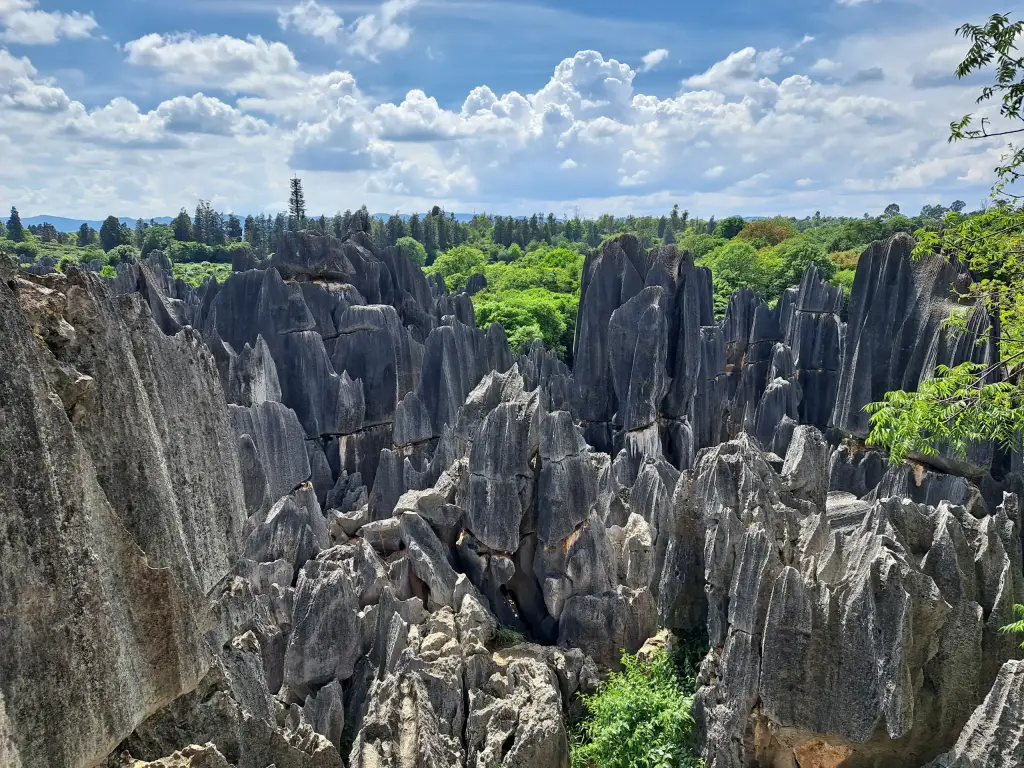 Steinwald Kunming