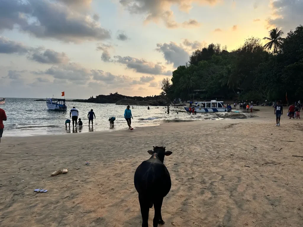 India
