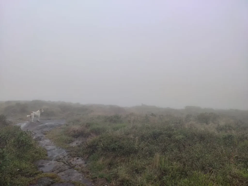 Trekking bei Nebel und Regen