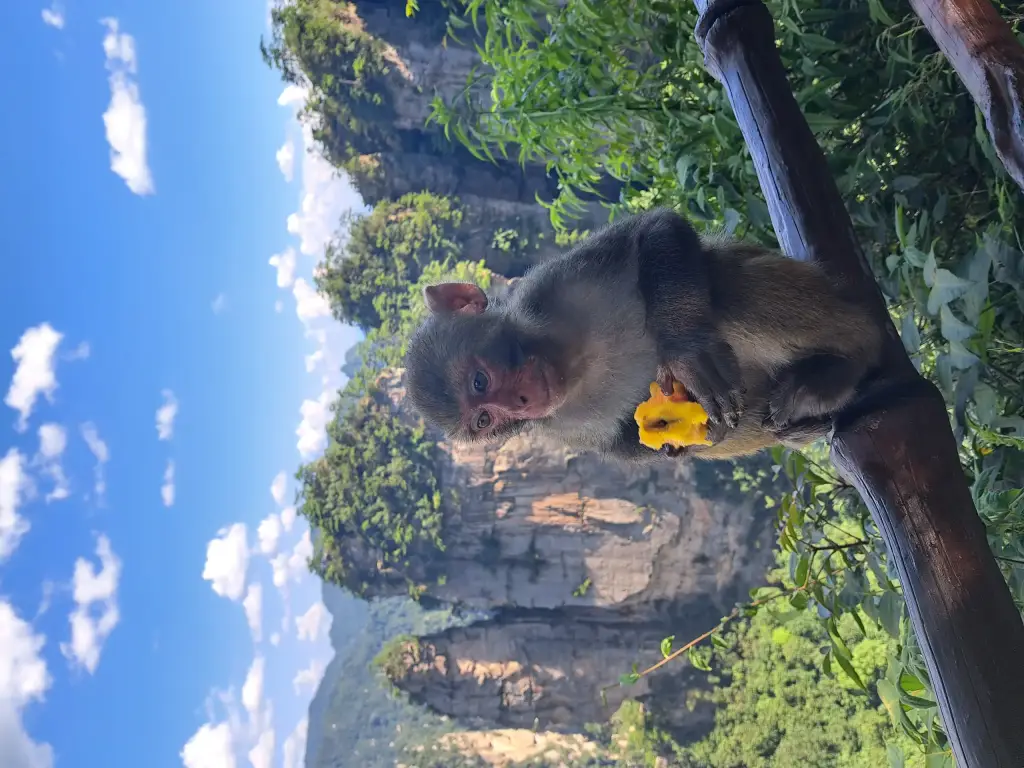 Zhangjiajie Nationalpark