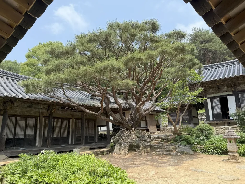 Bongjeongsa Temple in Andong