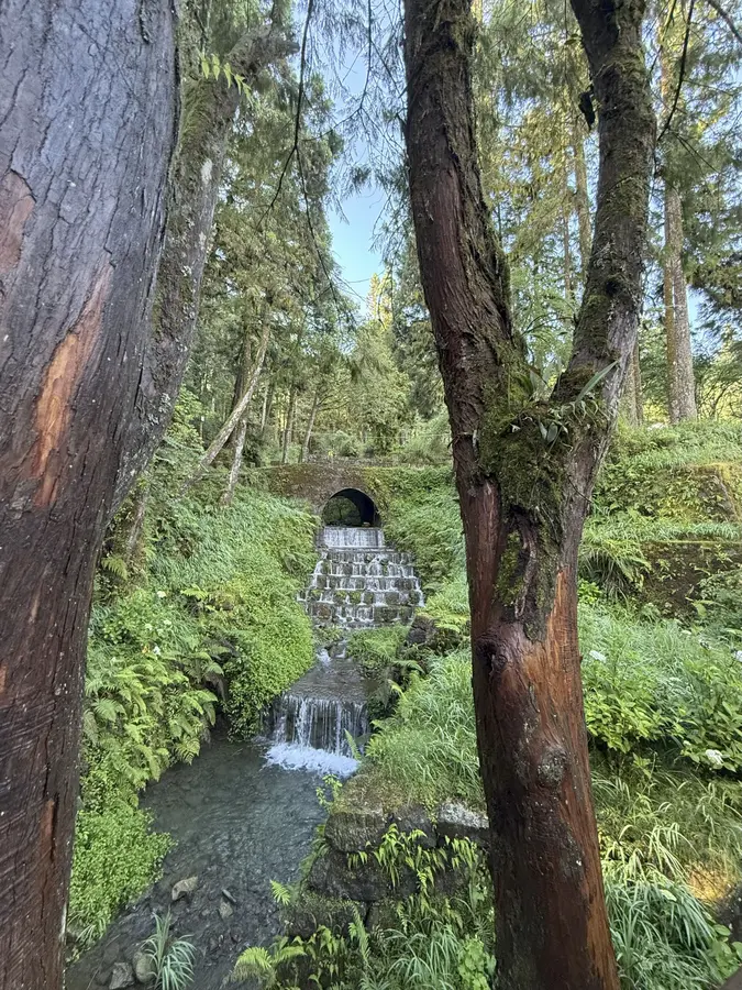 Wanderung durch die Zypressen und Zedernwälder