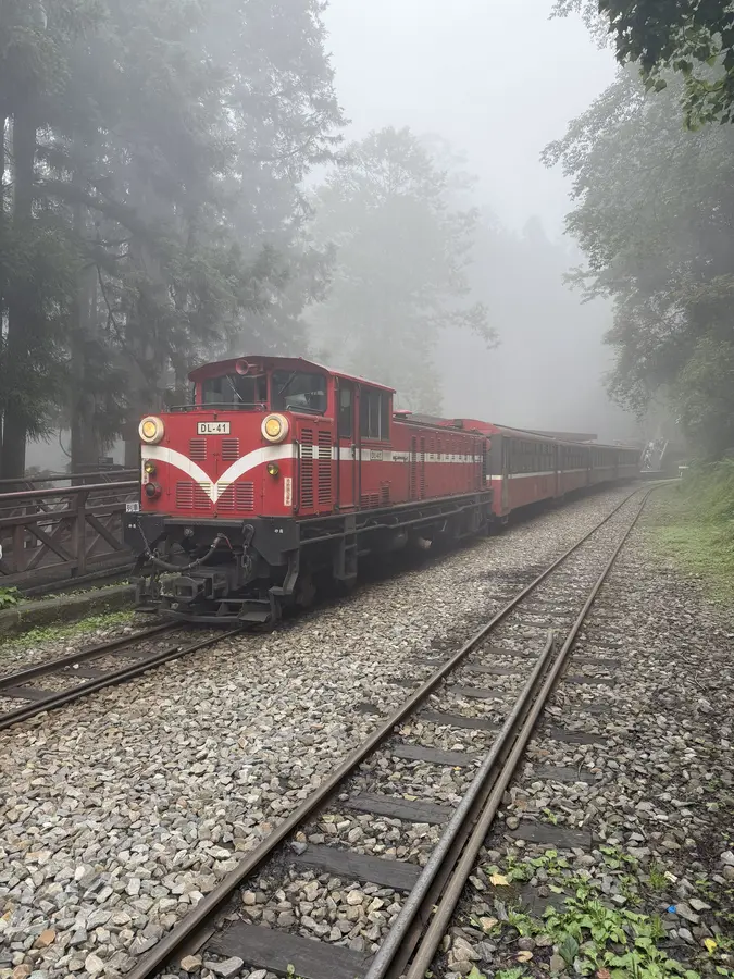 Ailshan Waldbahn