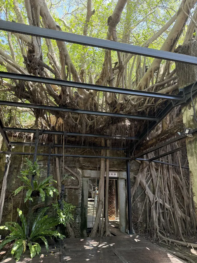 Anping Banyan Tree House