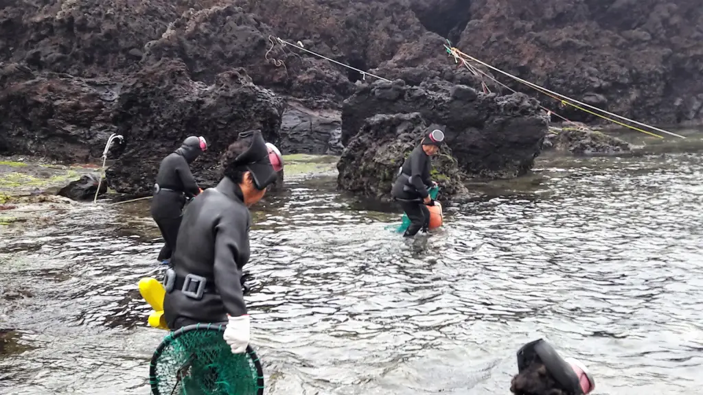 Haenyeo, die berühmten Taucherinnen von Jeju
