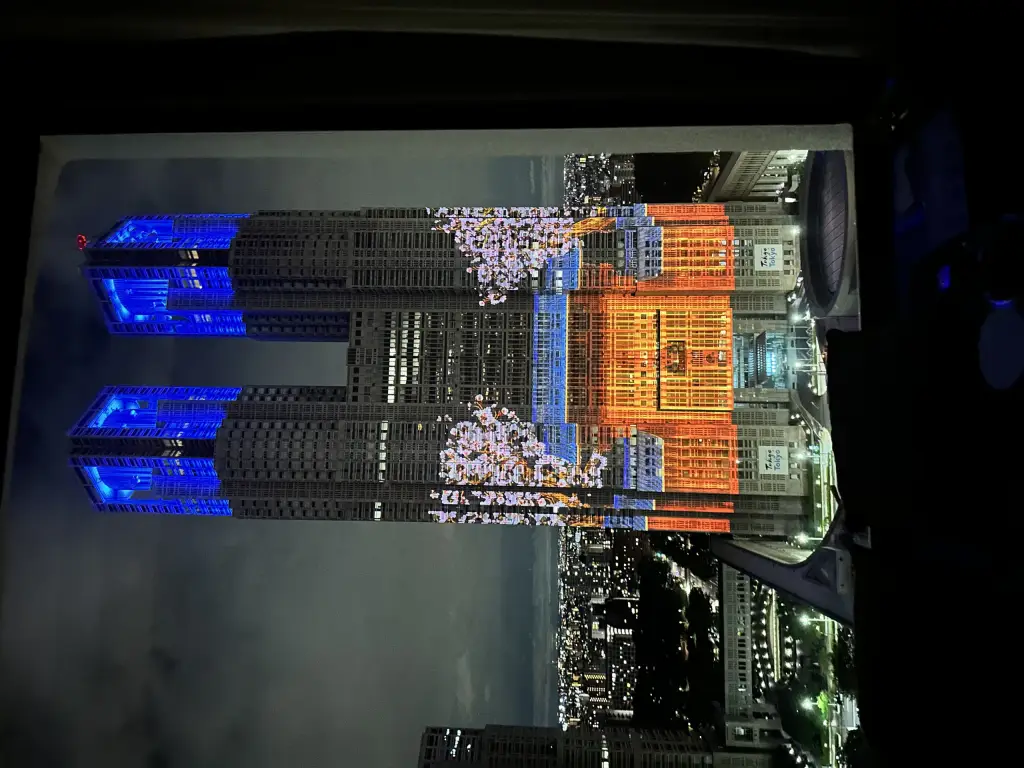 Eine von vielen Lichtprojektionen am Government Building
